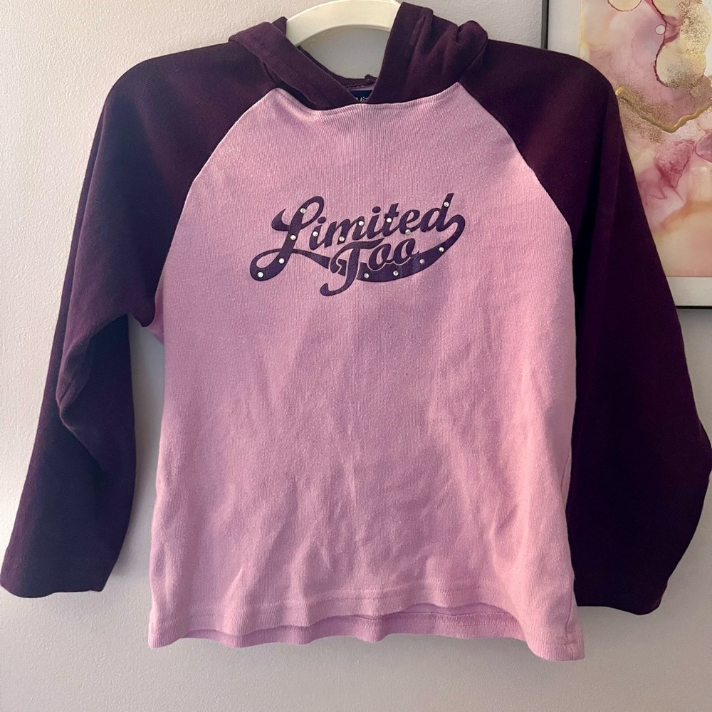 RARE VINTAGE Limited Too purple two tone hooded cropped long sleeve shirt